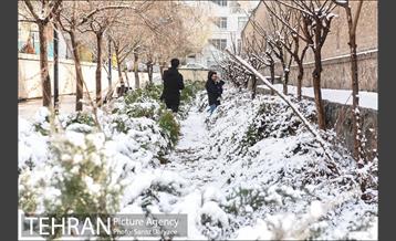 روز برفی در باغ موزه قصر‎ 5