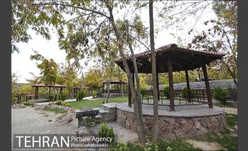 طبیعت پاییزی بوستان فدک 7
