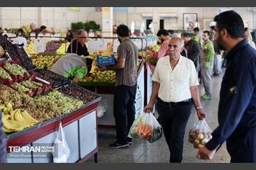 تور بازدید از میادین و بازارهای میوه و تره‌بار شهرداری تهران 36