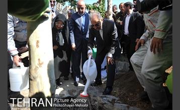 احیای درختان خیابان  ولیعصر( عج) با حضور شهردار تهران  28