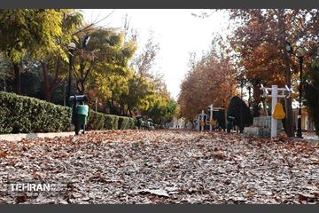 گذر پاییزی بوستان رازی 2