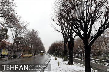 روز برفی بلوار کشاورز 21