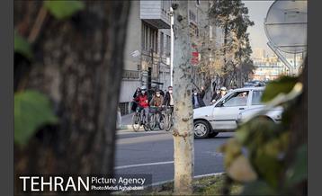 پویش سه شنبه های بدون خودرو در منطقه 8