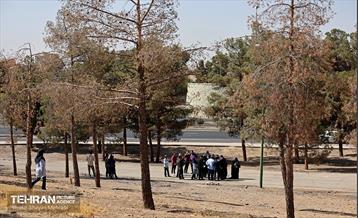 بازدید اصحاب رسانه از روند انجام عملیات احیای چیتگر 57