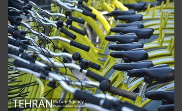 سه شنبه های بدون خودرو با حضور معاون بین الملل مرکز ارتباطات و امور بین الملل شهرداری تهران 2