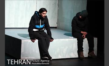 نمایش پروانه الجزایری 19