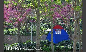 روز طبیعت در بوستان ساعی 20