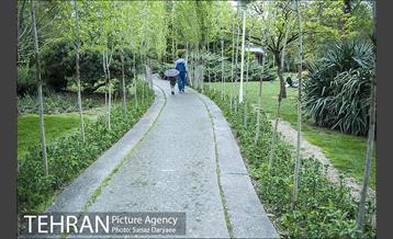 روز طبیعت بارانی در بوستان لاله 14