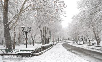 صبح برفی بوستان ملت 9