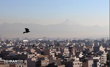 بازدید کمیسیون برنامه و بودجه شورای شهر از پروژه‌های منطقه ۱۷ 26