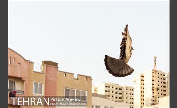 نگاه مینیمال به تهران 2