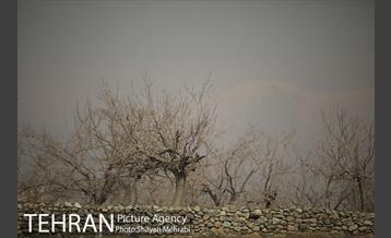 آلودگی هوای پایتخت 46