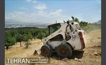 علف زنی بوستانهای تهران برای مقابله با آتش سوزی 22