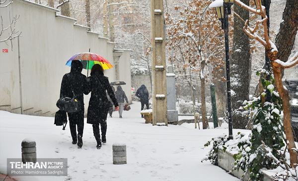 تهران برفی  13
