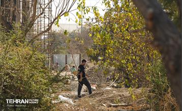 اینجا کارگاهه؛ بوستان گوهرشاد  23