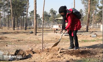 آیین یلدای مهربانی و کاشت نهال در بوستان سرخه حصار 29