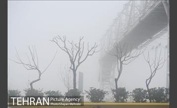 تهران مه آلود 12