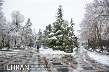 روز برفی تهران در بوستان ملت 4