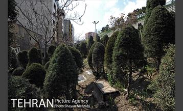 گورستان جوزدرختک (آجودانیه) 48