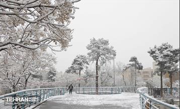 روز برفی تهران - 3 41