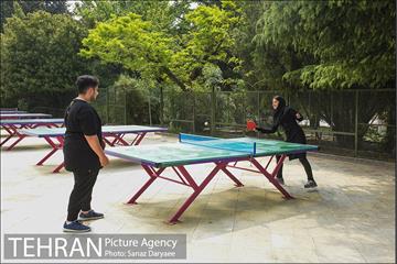بوستان نیاوران 27