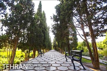باغ گیاه شناسی ملی ایران  4