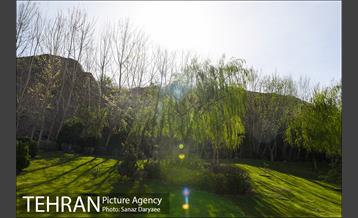 بوستان جوانمردان 7