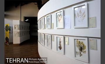 موزه گیاه شناسی دارآباد 2