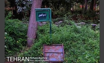 بوستان سهند 3