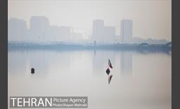 آلودگی هوای پایتخت 4