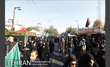 پیاده روی جامندگان اربعین حسینی (ع) در تهران 15