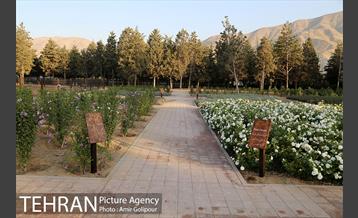 باغ راز هستی 10