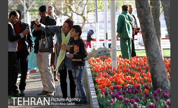 جشنواره لاله‌ها در بوستان زندگی محله هرندی 9