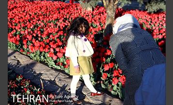 جشنواره لاله‌ها در بوستان زندگی محله هرندی 21