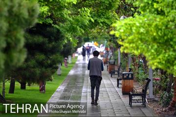 باران بهاری در تهران - 2 8