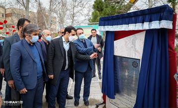 کاشت نخل های کهنسال به یاد شهدا در منطقه ۱۳