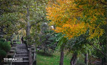 سمفونی رنگ های پاییزی - پارک ملت 4