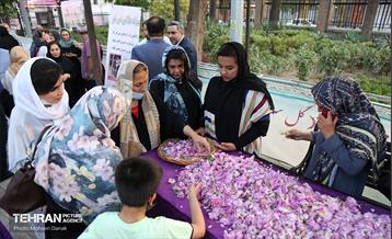 تور تهرانگردی قلب طهران