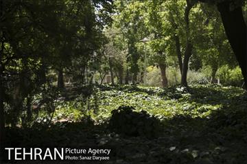 بوستان شفق‎ 10