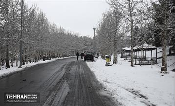 روز برفی تهران - 2 37
