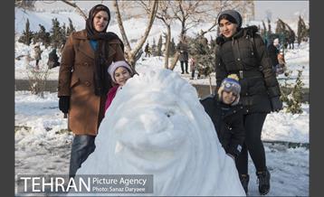 جشنواره مجسمه های برفی 9