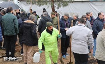 آغاز کاشت ۲۵ هزار اصله نهال غیرمثمر در بوستان چیتگر 23