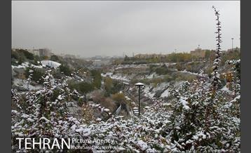 تهران سفید پوش شد 19