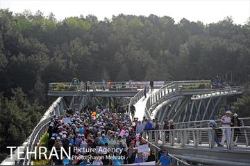 همایش پیاده روی خانوادگی کارکنان شهرداری 14