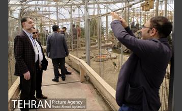 افتتاح اولین "باغچه خبر" در تهران 26