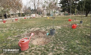 مراسم درختکاری در منطقه 15 19