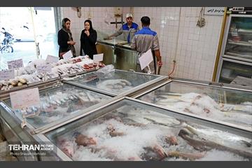تور بازدید از میادین و بازارهای میوه و تره‌بار شهرداری تهران 28