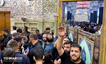 حرم مطهر امام علی (ع) در آستانه اربعین حسینی 7