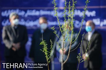 بازدید و افتتاح پروژه جنگل کاری 1000هکتاری در بوستان جنگلی تلو 19