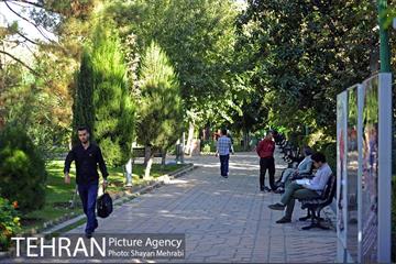 بوستان هنرمندان (ایرانشهر) 24